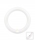 TUBO CIRCULAR LED 300 MM. 18W 6500K 220V