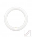 TUBO CIRCULAR LED 300 MM. 18W 6500K 220V