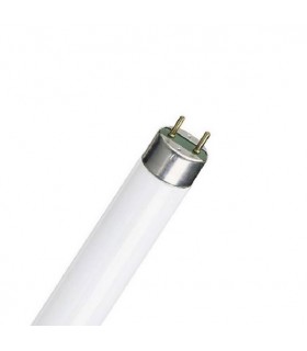 TUBO FLUORESCENTE  T-8 30W 6500K