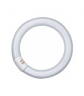 TUBO FLUORESCENTE CIRCULAR 40W 6500K