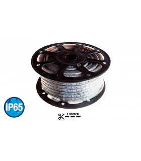 MTS. TIRA LED 220V 14.4W/MTS RGB